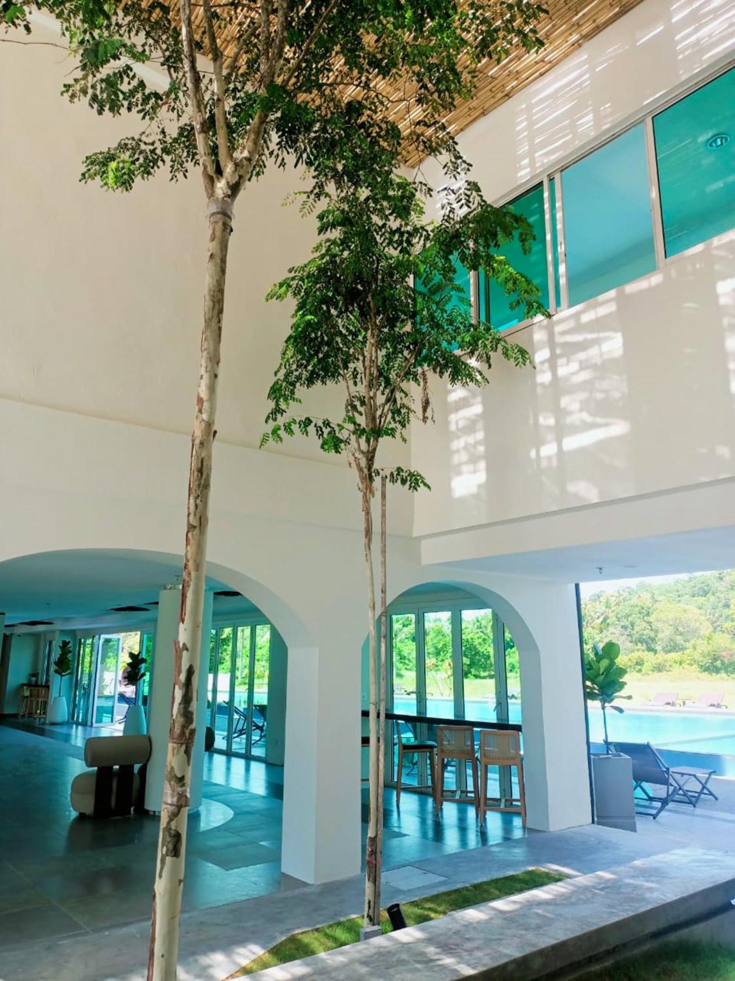 The Bayou Hotel Langkawi Pantai Cenang  Zewnętrze zdjęcie